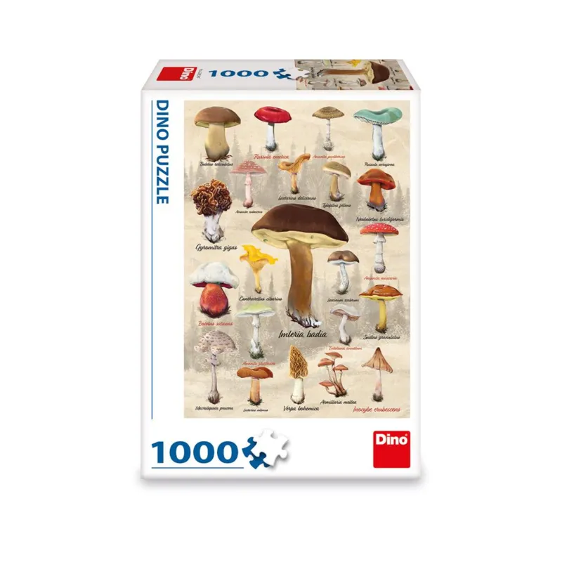 Pilz-Collage