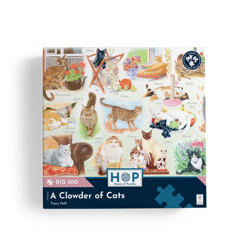 XXL Teile - Katzen über Katzen