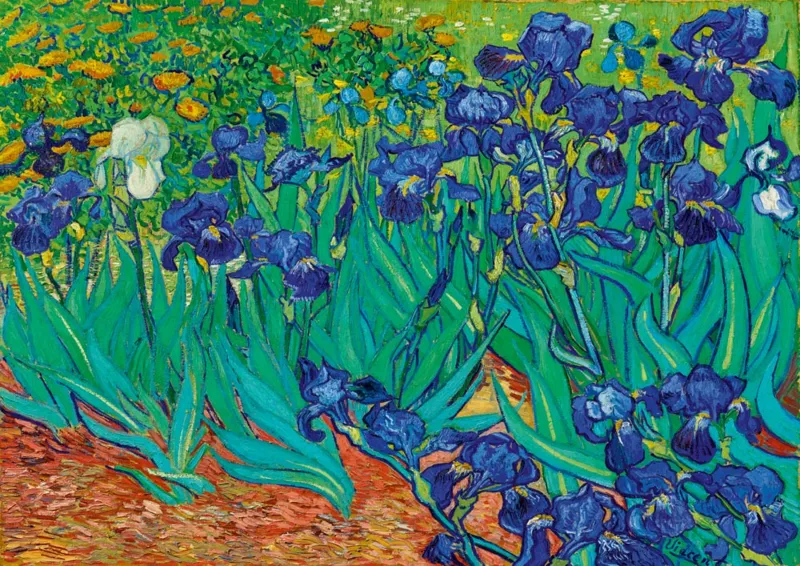 Vincent Van Gogh - Irises, 1889