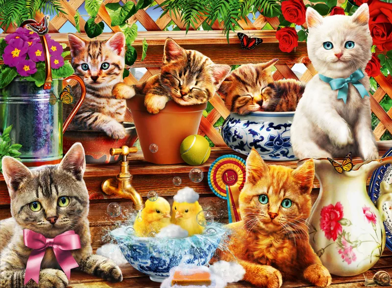 Kittens in the Potting Shed
