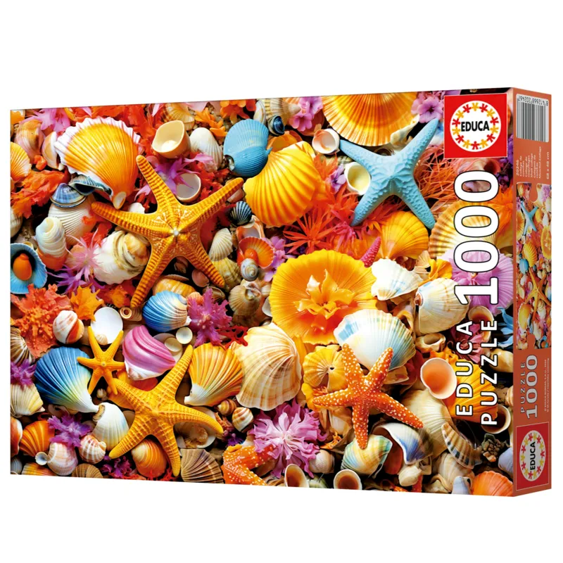 Shell Collage