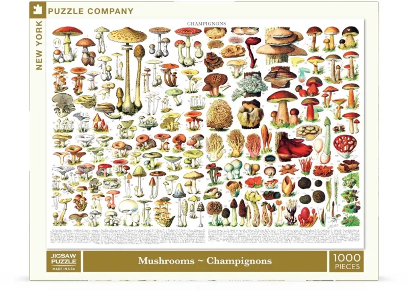 Mushrooms - Champignons