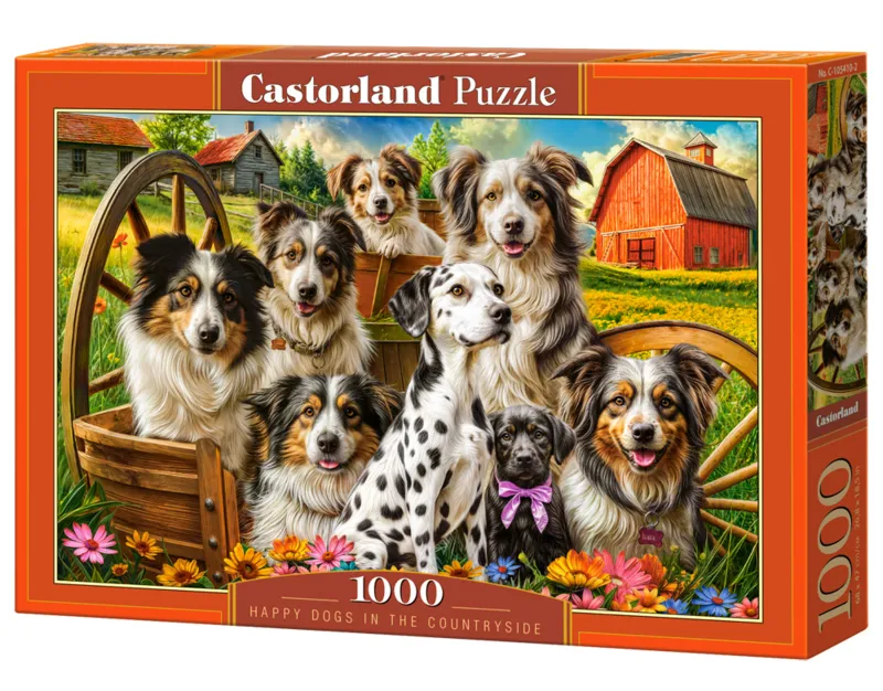Happy Dogs In The Countryside