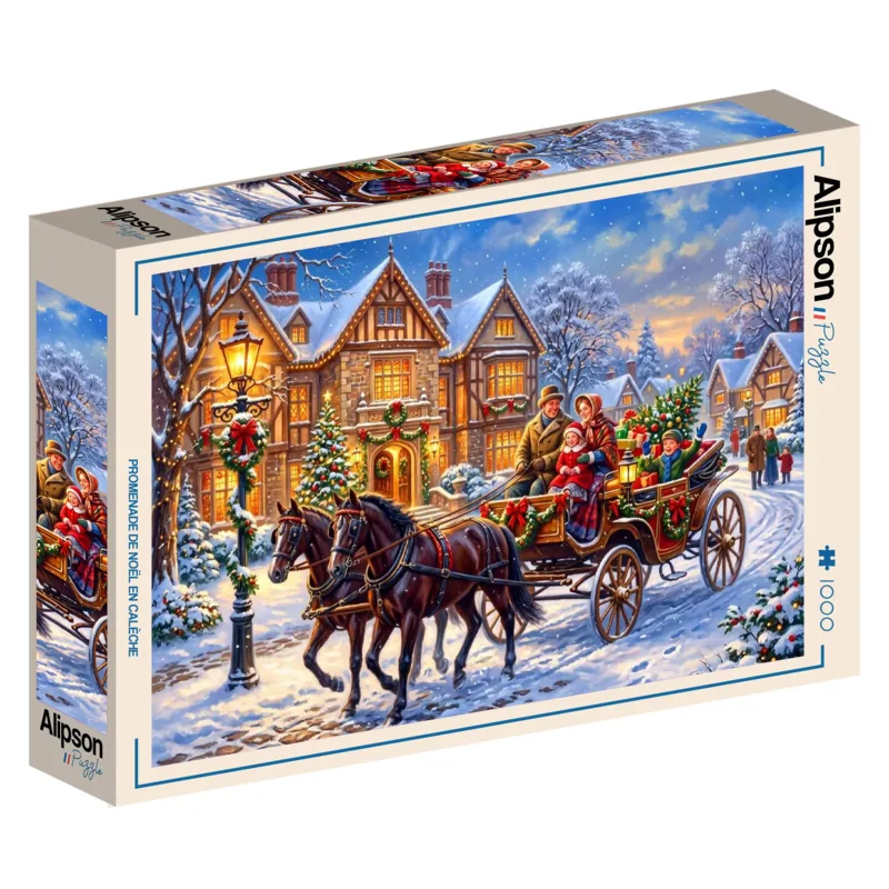 Weihnachtsfahrt mit der Kutsche
