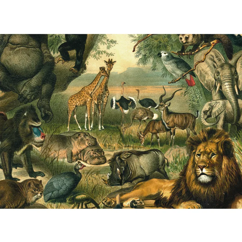 Tiere der Savanne