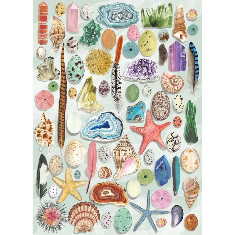 The Art File: Natural Curiosities