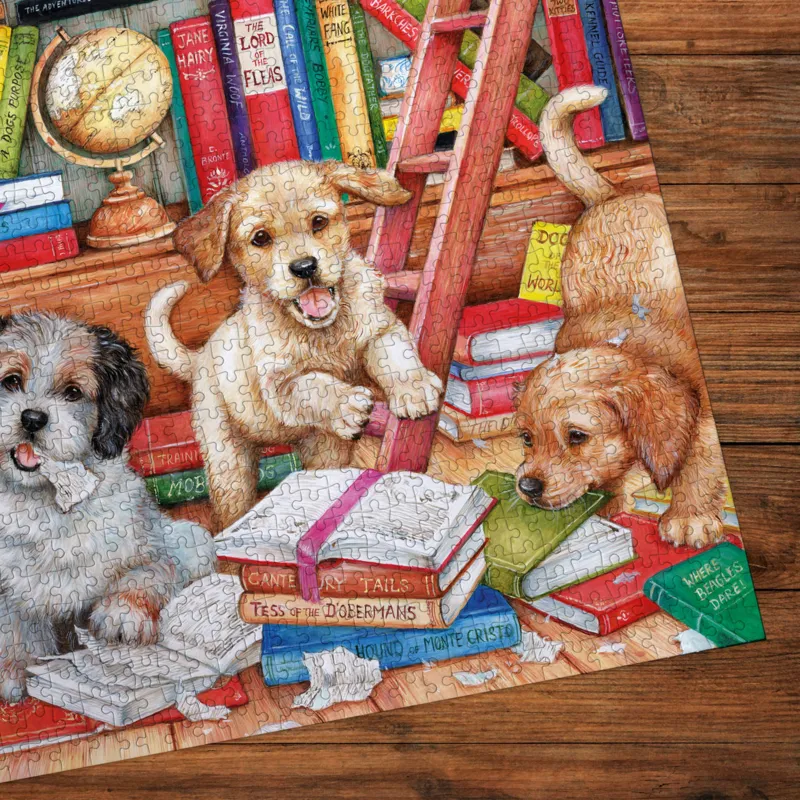 Shaggy Dog Story (1000)