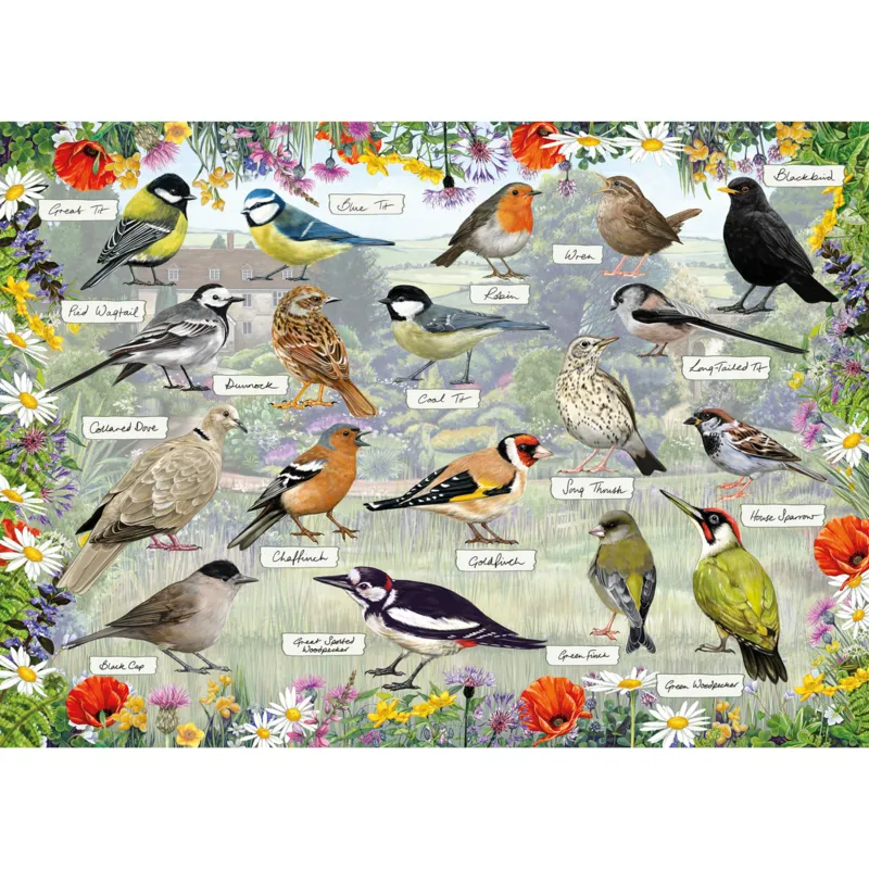 RSPB Blissful Birds (1000)