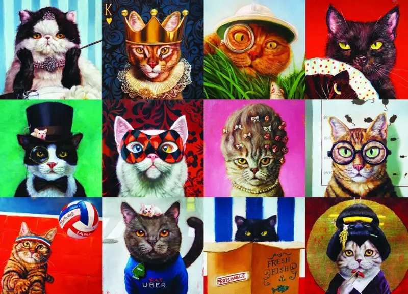 Lustige Katzen