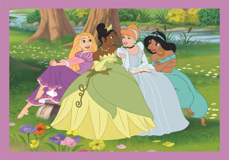 4 Puzzles - Disney Princess