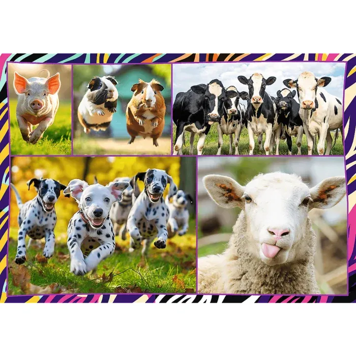 4 Puzzles - Lustige Tiere