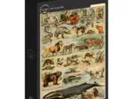 Abbildung aus dem Larousse pour Tous: Säugetiere, 19. Jahrhundert
