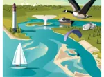 Le Bassin d'ARCACHON A Toutes les Saisons