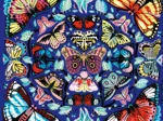 Kaleido-Schmetterlinge – Familienpuzzle mit 500 Teilen