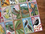 RSPB British Songbirds (1000)
