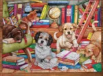 Shaggy Dog Story (1000)