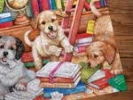 Shaggy Dog Story (1000)