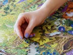 The Art File: Sunlight Glade (1000)