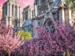 Odyssee Foto: Kathedrale Notre-Dame De Paris