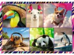 4 Puzzles - Lustige Tiere