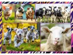 4 Puzzles - Lustige Tiere