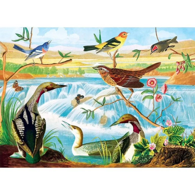 Audubon - Vögel am Bach