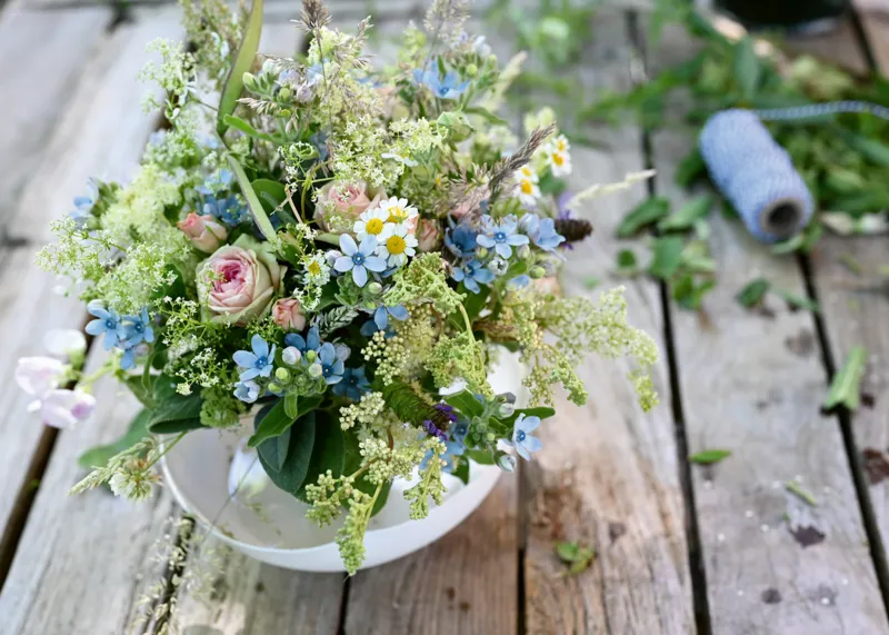 Sommerlicher Wiesenstrauß mit Himmelblauem Südstern