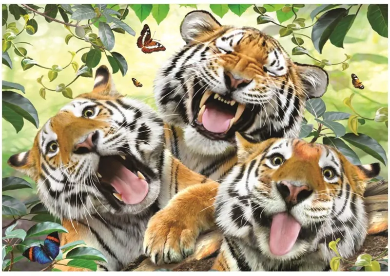 Tiger Selfie