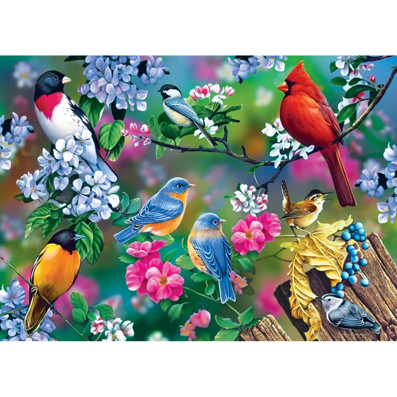 Audubon - Singvogel-Collage