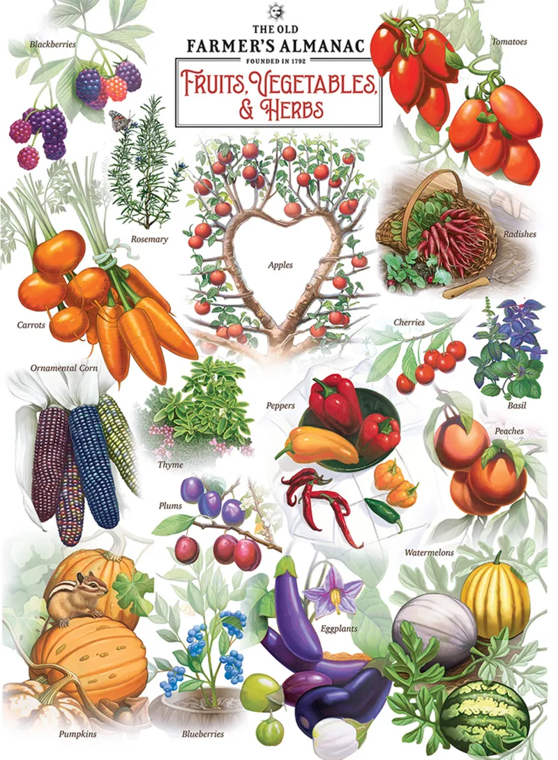Farmer's Almanach - Obst & Gemüse