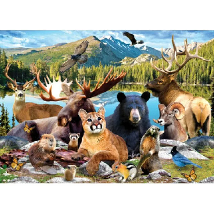 Nationalparks - Rocky Mountain