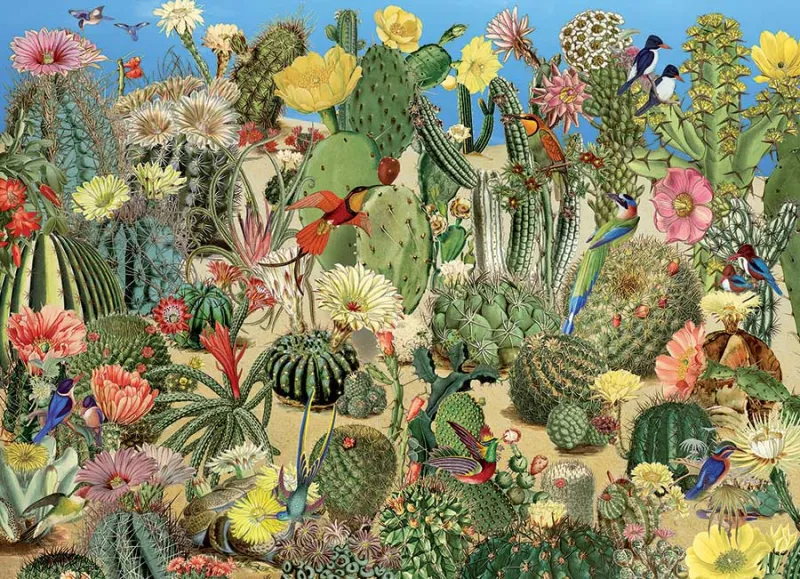 Cactus Garden