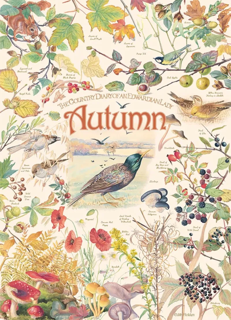 Country Diary - Herbst