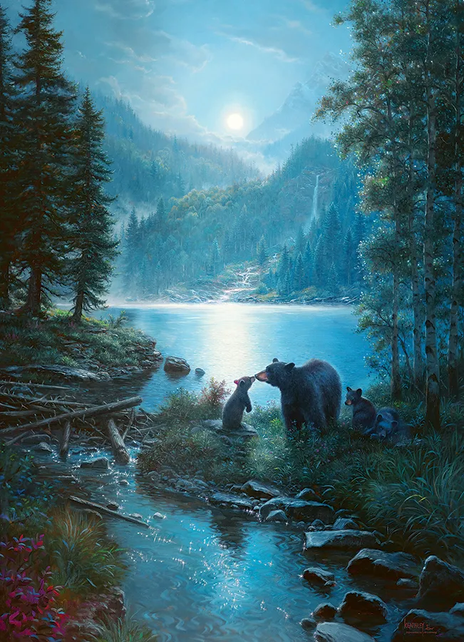 Bear Night