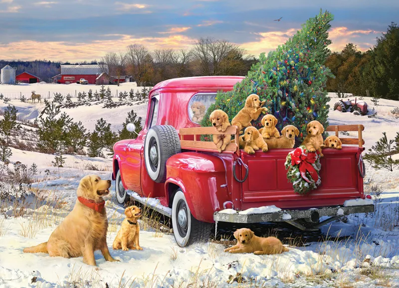 Family Outing