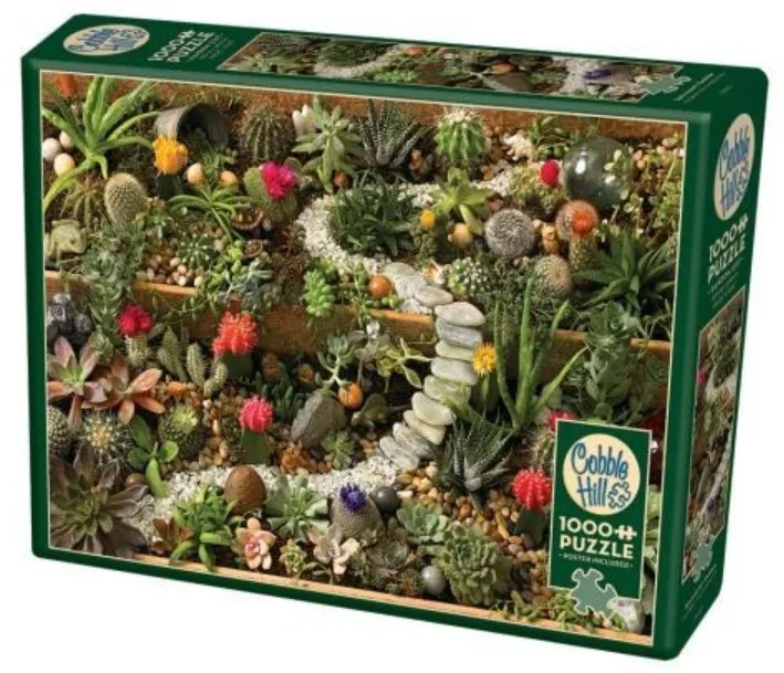 Succulent Garden