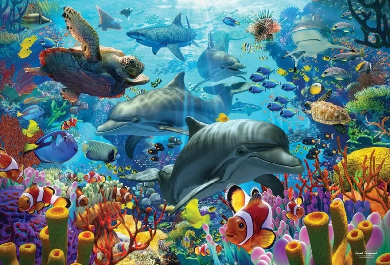Coral Sea