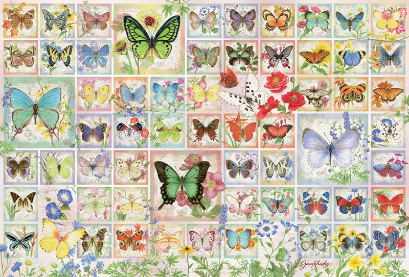 Butterflies and Blossoms