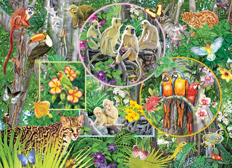 Rainforest Magic