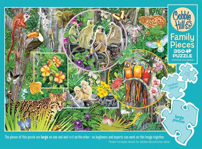 Rainforest Magic