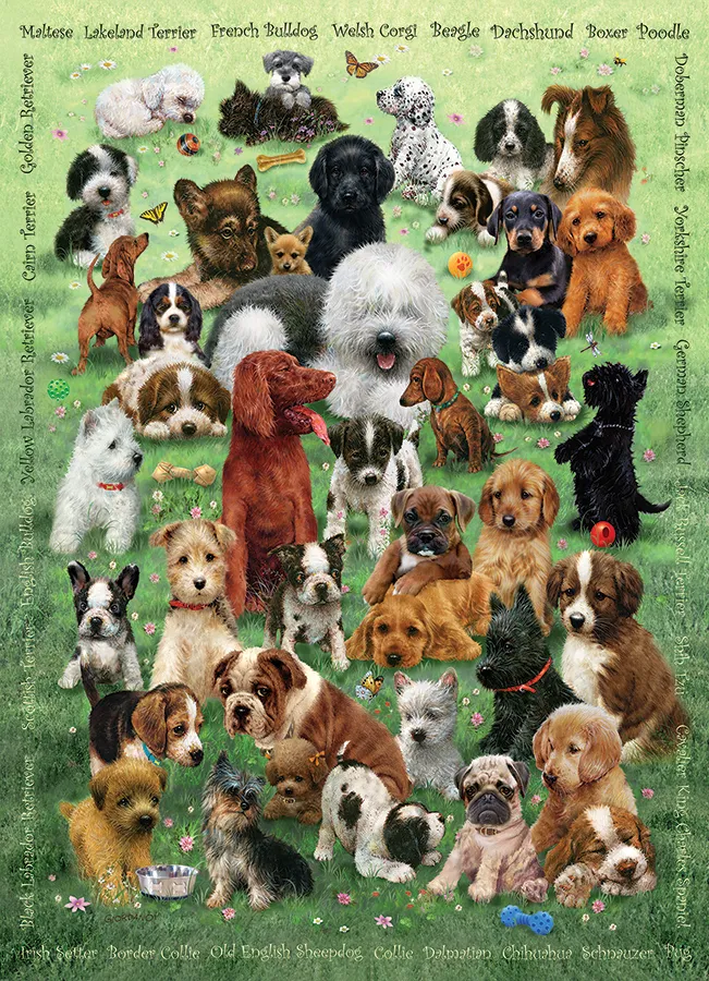 Family - Welpen