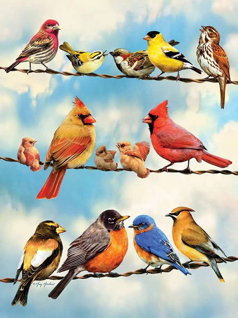 XXL Teile - Birds on a Wire