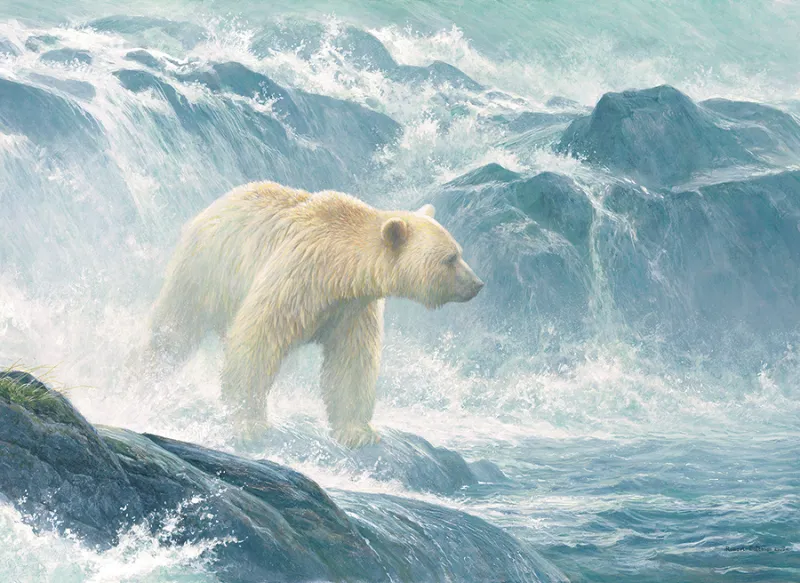 XXL Teile - Salmon Watch - Spirit Bear