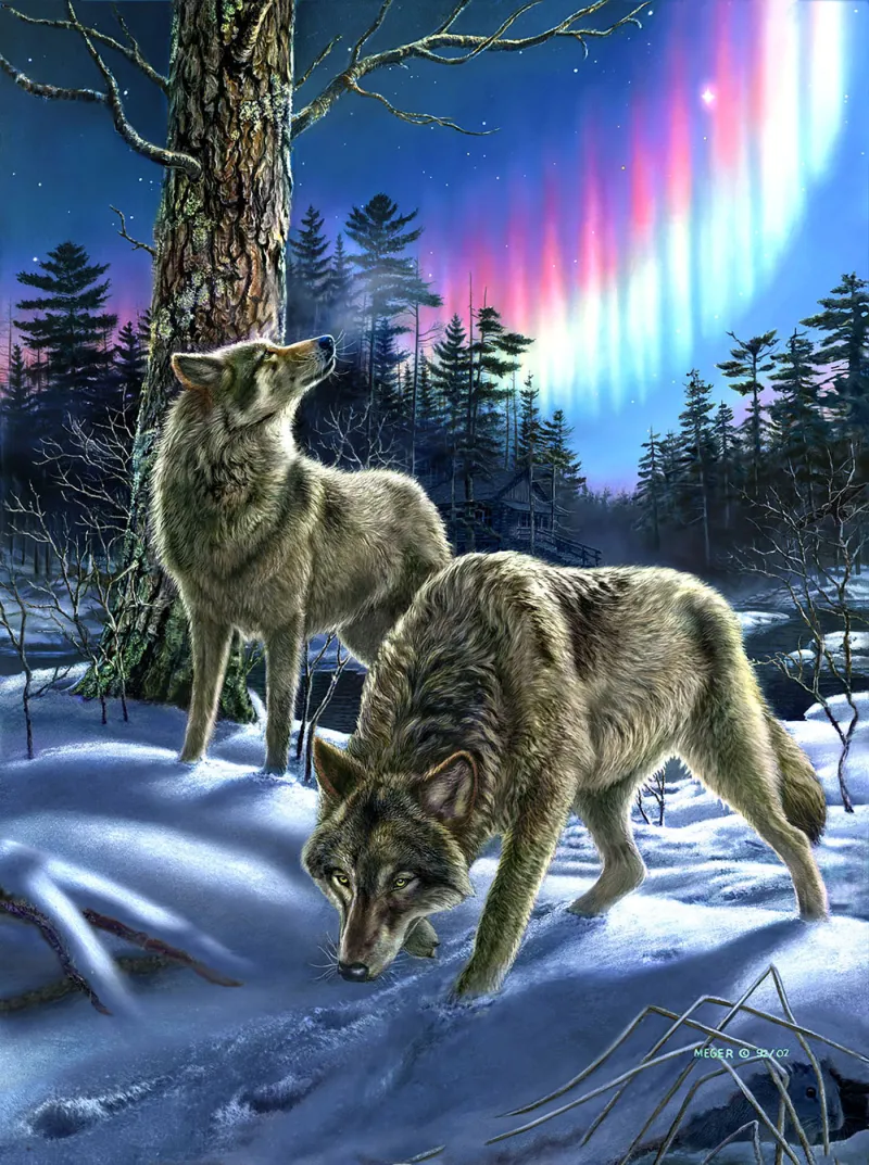 Wölfe im Nordlicht