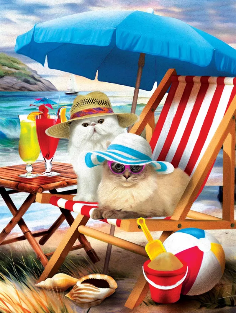 XXL Teile - Beach Cats