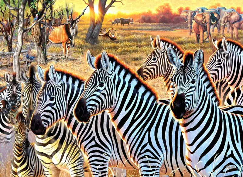 XXL Teile - Zebras und Freunde