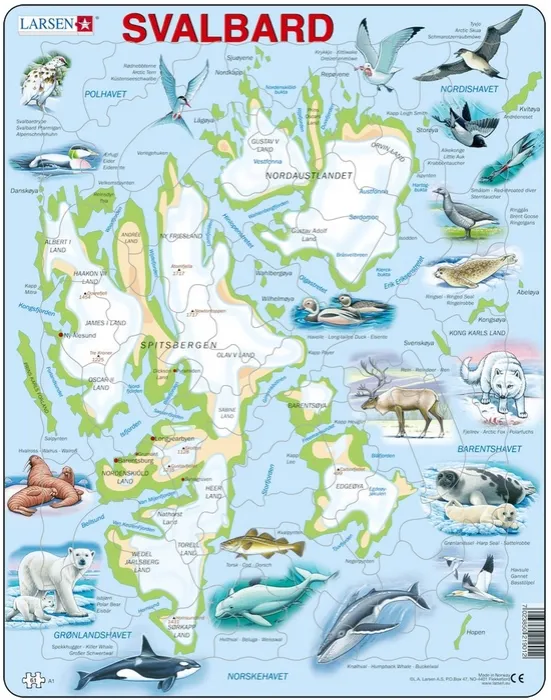 Rahmenpuzzle - Svalbard, Norwegen