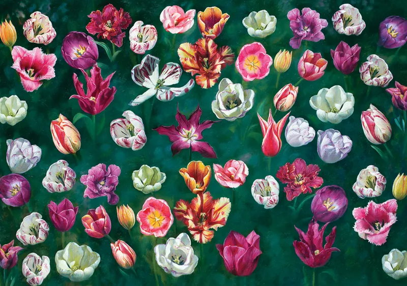 Tulip Garden