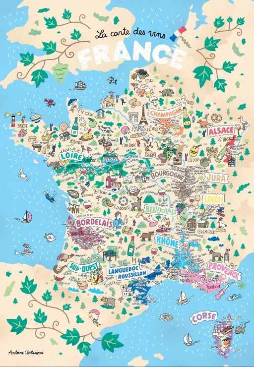 Weine aus Frankreich