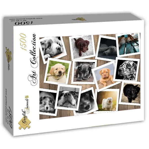 Hunde